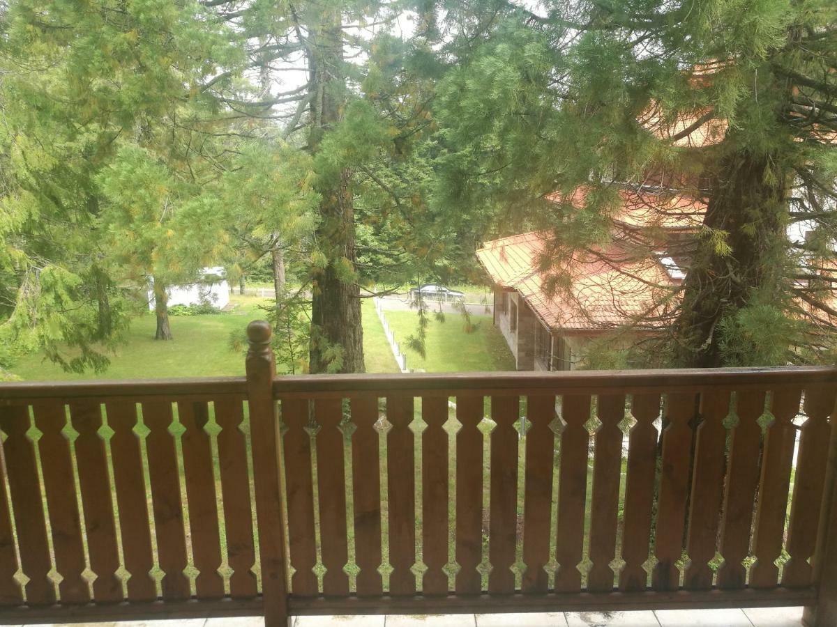 Luxury Apartament In "Sequoia" 2 Borovets Bagian luar foto
