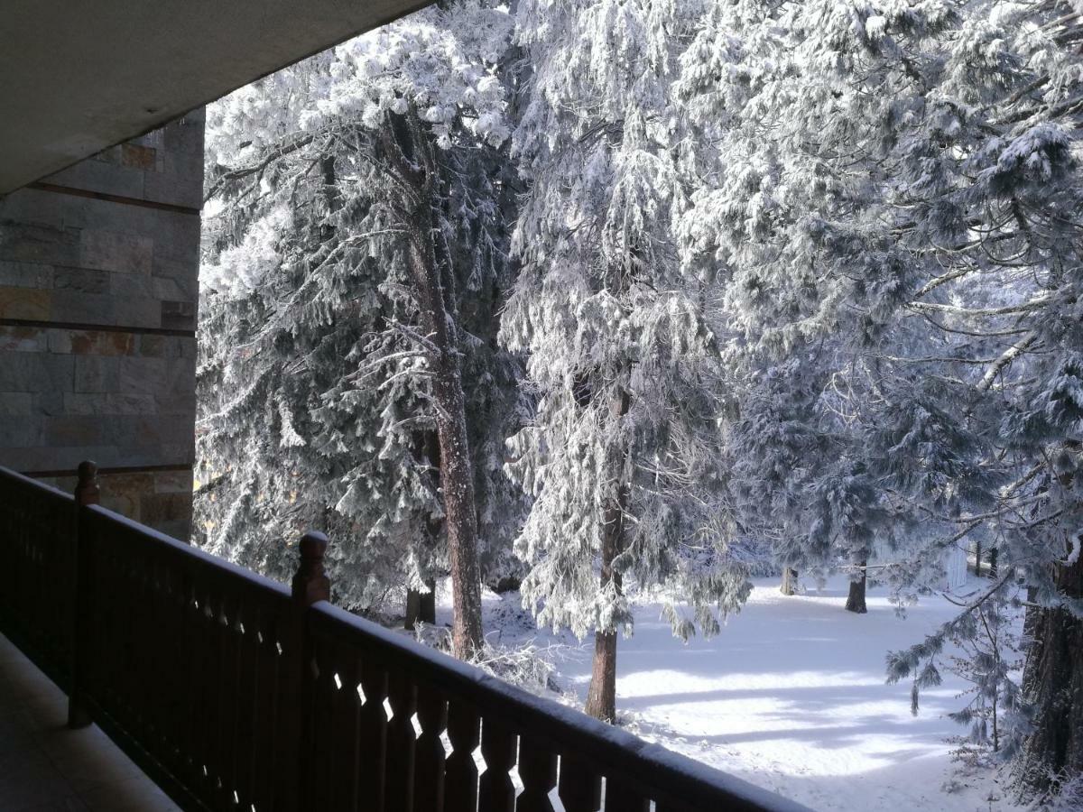 Luxury Apartament In "Sequoia" 2 Borovets Bagian luar foto